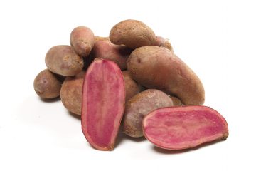 Kartoffeln mit pinkem Fruchtfleisch