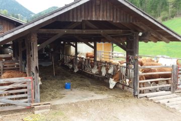 Fütterung der Tiere im Stall