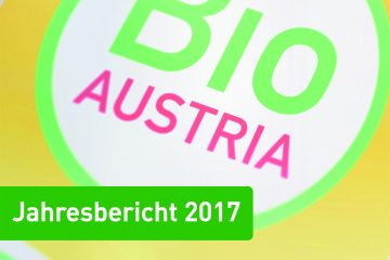 Titelblatt Jahresbericht 2017