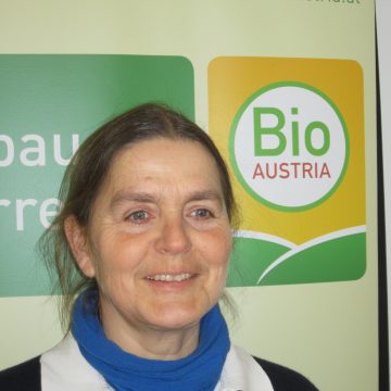 Portrait Katharina Lins