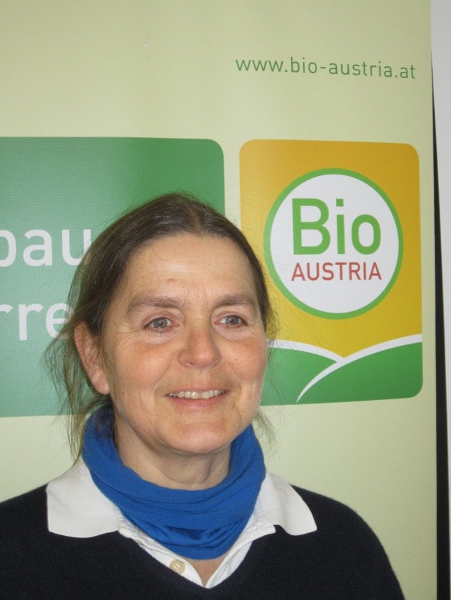 Portrait Katharina Lins