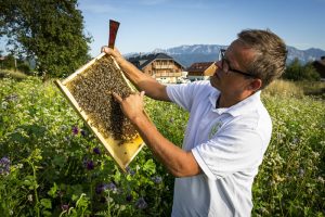 Klaus Costadedoi vom Bienenhof Attersee erklärt den Bienenkasten
