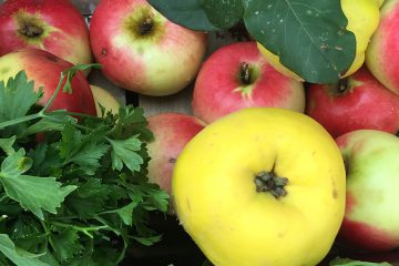 Äpfel