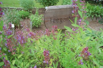Kräutergarten Klaffer