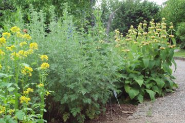 Kräutergarten Klaffer