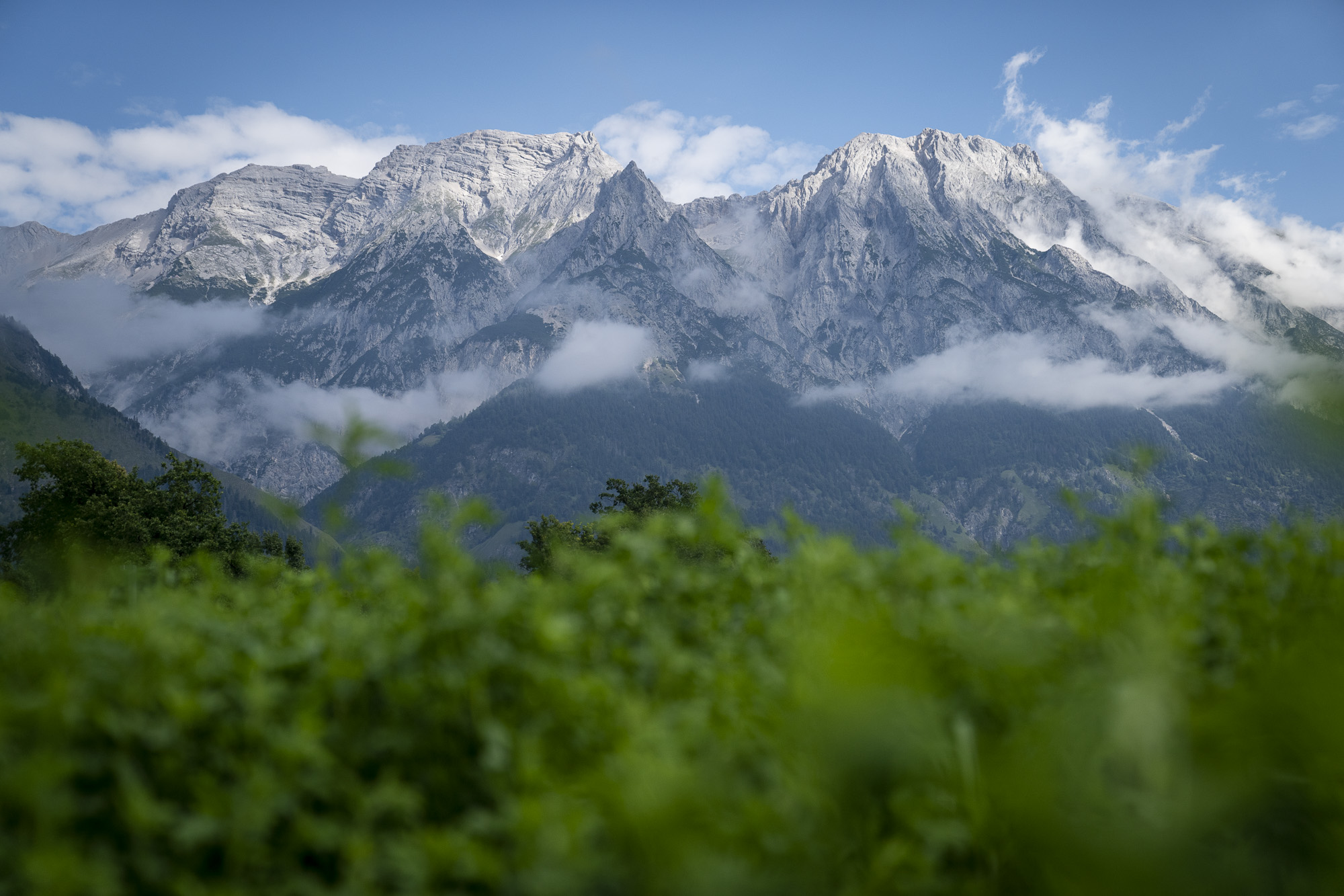 Solidarische Landwirtschaft Thurnfeld - BIO AUSTRIA