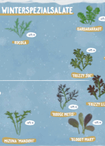 Bild zur Ansicht der Landkarte Wintersalate.