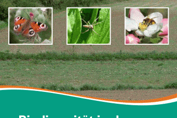 Titelblatt Biodiversität in der Agrarlandschaft