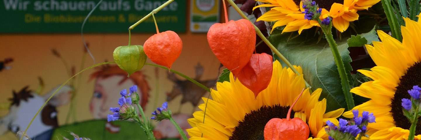 Sonnenblumen auf einer Bühne am Biofest in Graz
