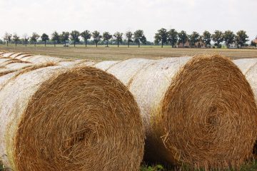 Strohballen