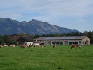 Milchviehbetrieb FL