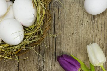 Eier