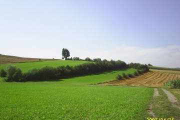 Hecke