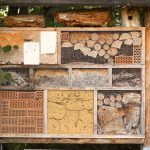 Insektenhaus