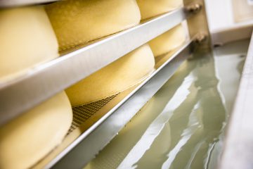 Käse
