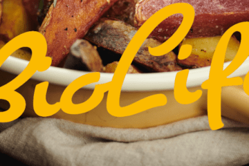 Sliderbild BioLife 2019